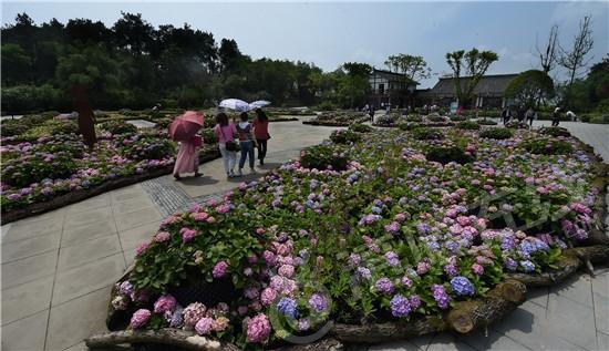 云霞花卉店怎么样（云霞茶庄）