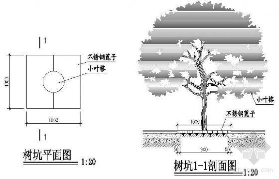 树坑直径与树木根幅大多少（树坑大小与树径的关系）